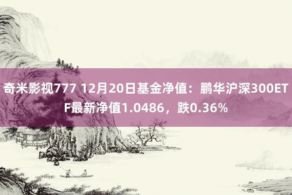 奇米影视777 12月20日基金净值：鹏华沪深300ETF最新净值1.0486，跌0.36%