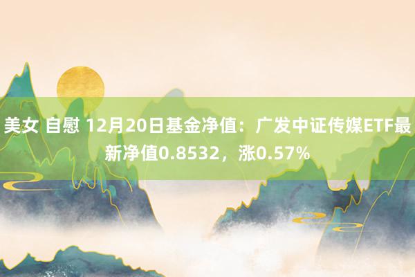 美女 自慰 12月20日基金净值：广发中证传媒ETF最新净值0.8532，涨0.57%