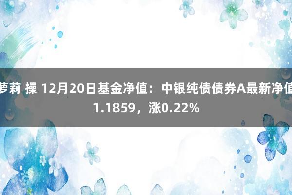 萝莉 操 12月20日基金净值：中银纯债债券A最新净值1.1859，涨0.22%