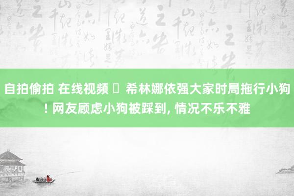 自拍偷拍 在线视频 ‌希林娜依强大家时局拖行小狗! 网友顾虑小狗被踩到， 情况不乐不雅