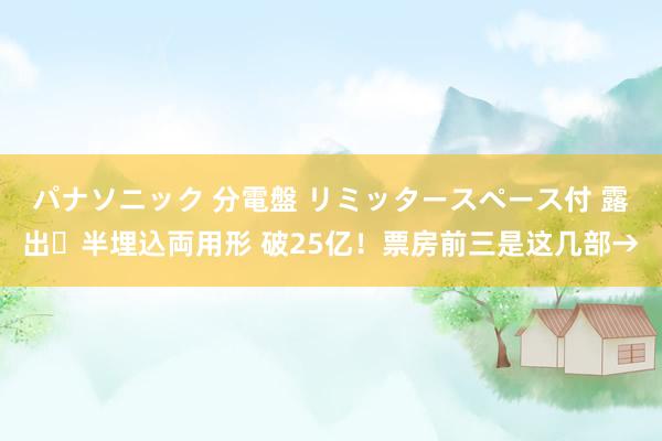 パナソニック 分電盤 リミッタースペース付 露出・半埋込両用形 破25亿！票房前三是这几部→