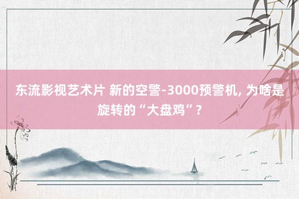 东流影视艺术片 新的空警-3000预警机， 为啥是旋转的“大盘鸡”?