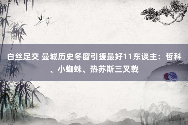 白丝足交 曼城历史冬窗引援最好11东谈主：哲科、小蜘蛛、热苏斯三叉戟