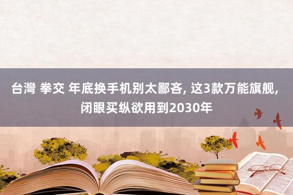 台灣 拳交 年底换手机别太鄙吝， 这3款万能旗舰， 闭眼买纵欲用到2030年