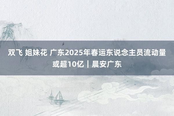 双飞 姐妹花 广东2025年春运东说念主员流动量或超10亿｜晨安广东