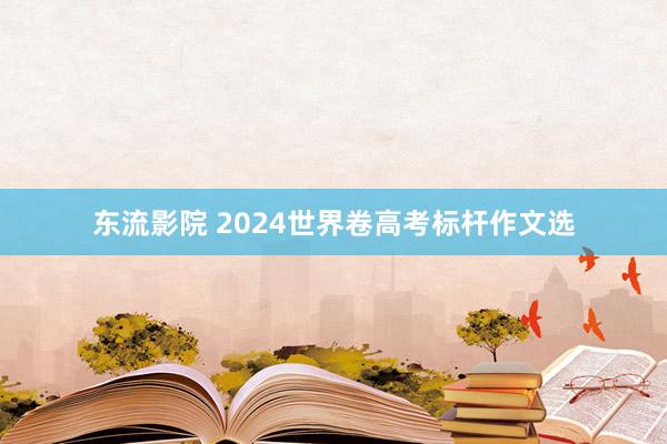 东流影院 2024世界卷高考标杆作文选