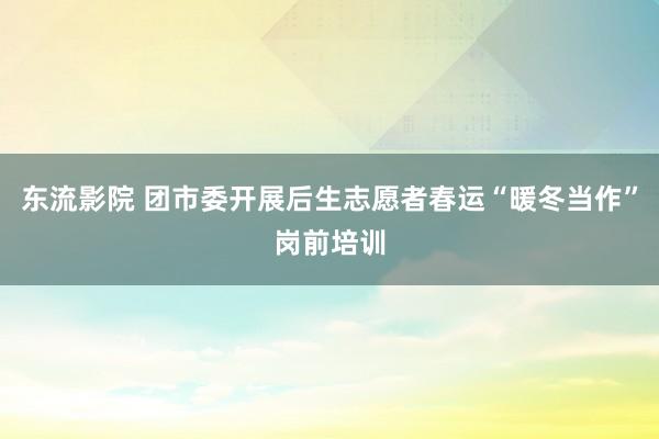 东流影院 团市委开展后生志愿者春运“暖冬当作”岗前培训