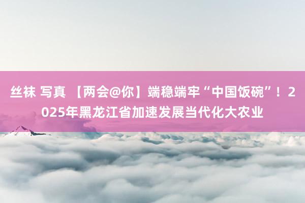 丝袜 写真 【两会@你】端稳端牢“中国饭碗”！2025年黑龙江省加速发展当代化大农业