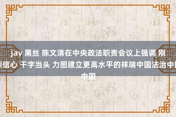 jav 黑丝 陈文清在中央政法职责会议上强调 刚烈信心 干字当头 力图建立更高水平的祥瑞中国法治中国