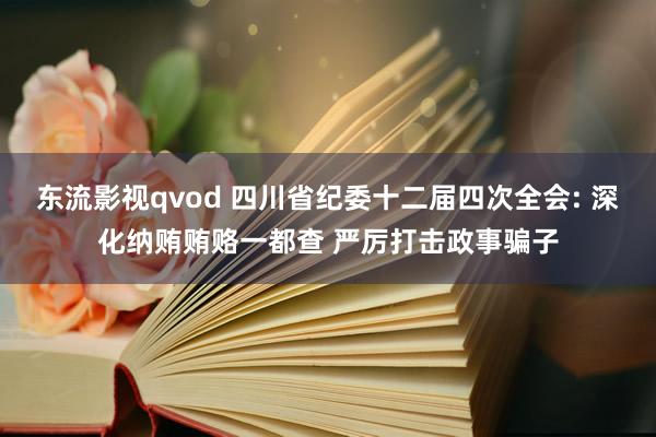 东流影视qvod 四川省纪委十二届四次全会: 深化纳贿贿赂一都查 严厉打击政事骗子