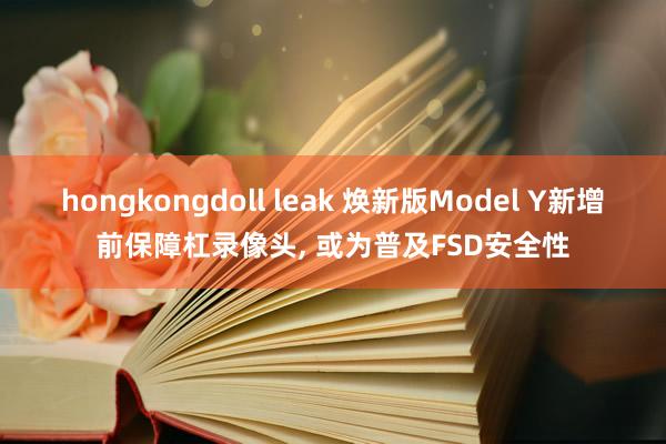 hongkongdoll leak 焕新版Model Y新增前保障杠录像头， 或为普及FSD安全性